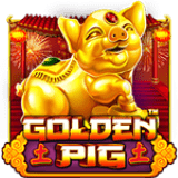 Golden Pig